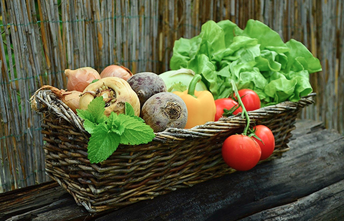 新鮮な野菜