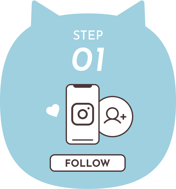 follow